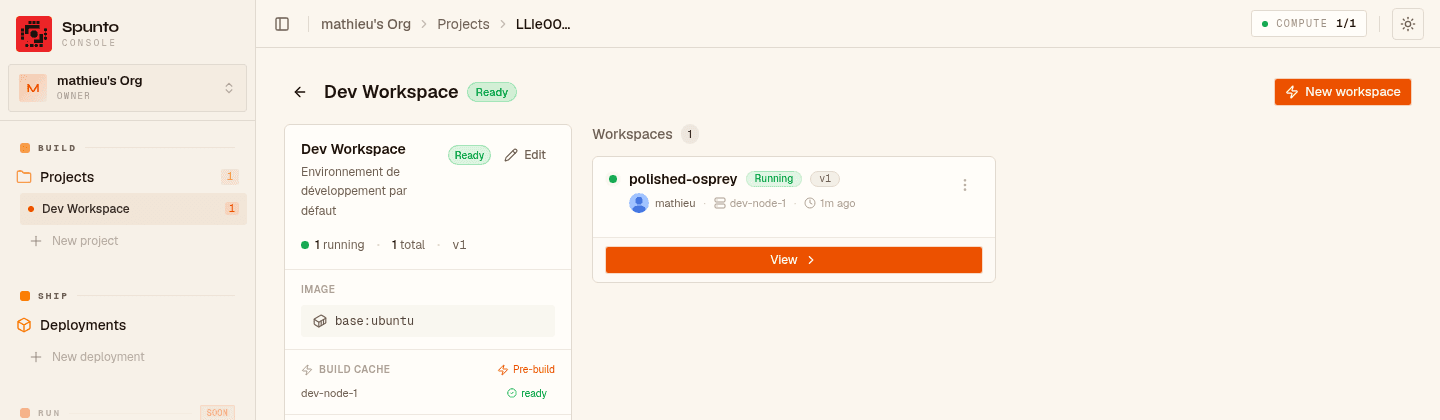 Project page showing a worker named polished-osprey in Running state, with a View button